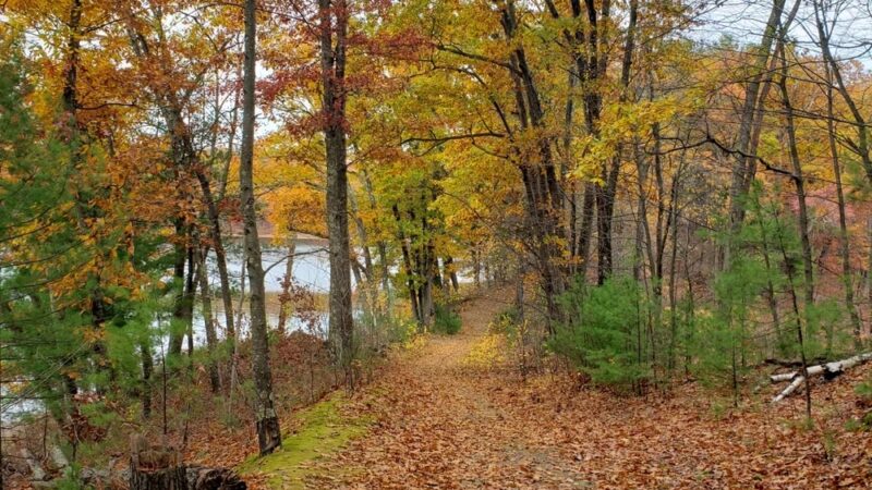 Ayer Conservation Trails - Ayer, MA