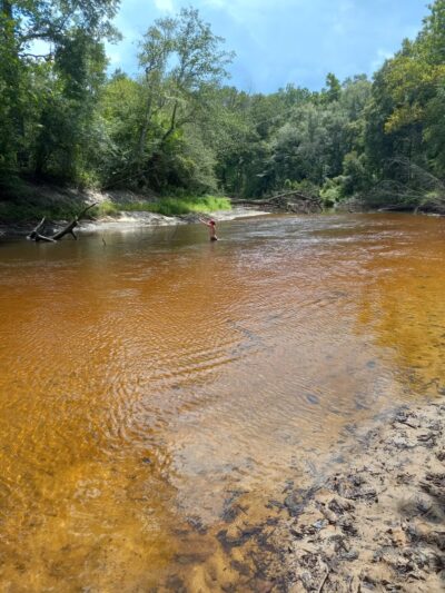 Zoar State Forest - Virginia Department of Forestry - Aylett, VA