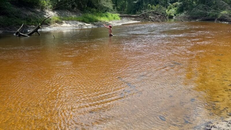 Zoar State Forest - Virginia Department of Forestry - Aylett, VA