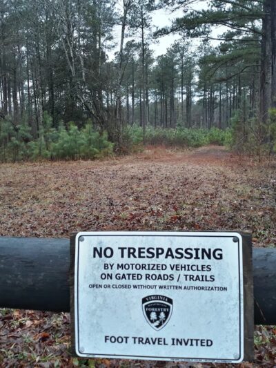 Zoar State Forest - Virginia Department of Forestry - Aylett, VA