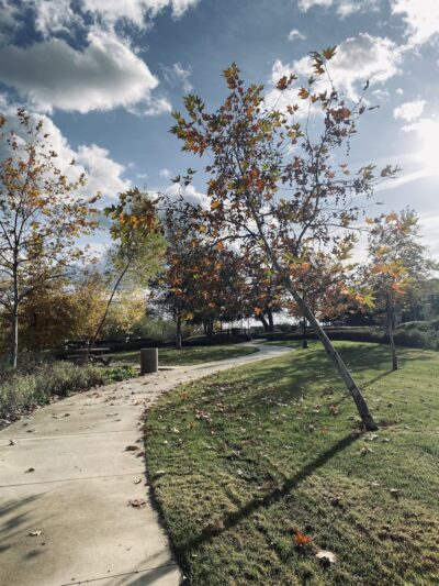 Arroyo Central Park - Azusa, CA