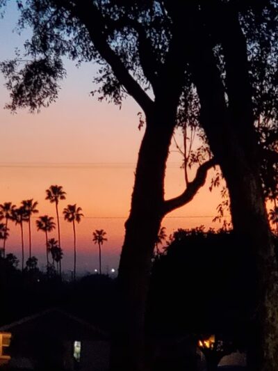 Pioneer Park - Azusa, CA