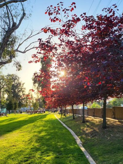 Pioneer Park - Azusa, CA