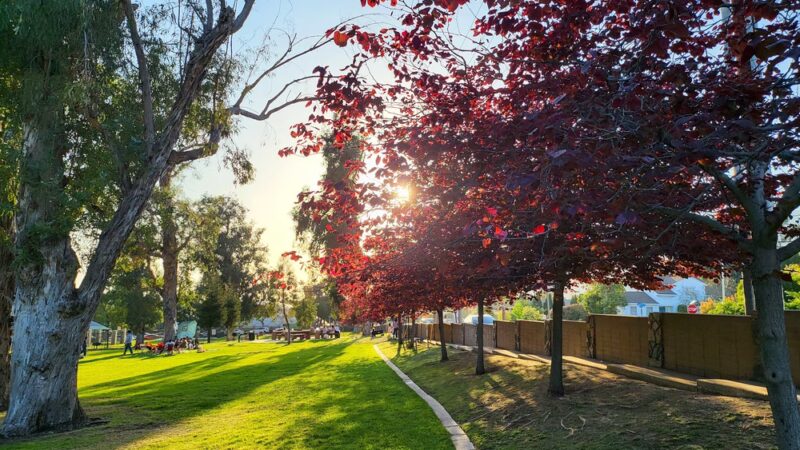 Pioneer Park - Azusa, CA