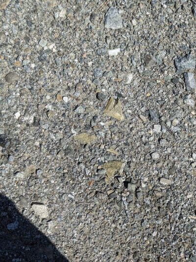 The Azusa Rockery & Geology Park - Azusa, CA