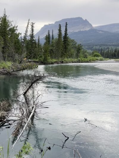 Divide Creek Campground - Babb, MT