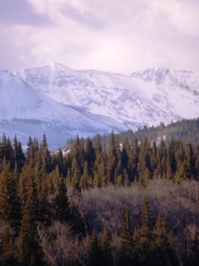 Duck Lake Lodge - Babb, MT