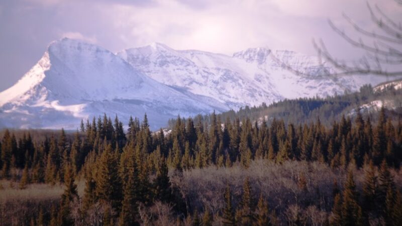 Duck Lake Lodge - Babb, MT