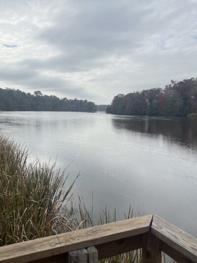 Bainbridge Boat Basin Park - Bainbridge, GA