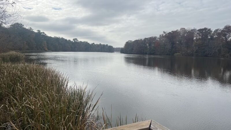Bainbridge Boat Basin Park - Bainbridge, GA