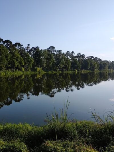Cheney Griffin Park - Bainbridge, GA