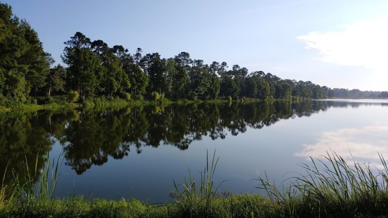Cheney Griffin Park - Bainbridge, GA