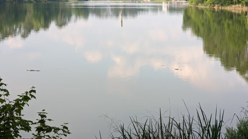 Earle May Boat Basin Park - Bainbridge, GA