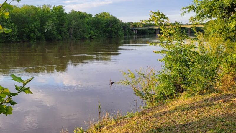 Earle May Boat Basin Park - Bainbridge, GA