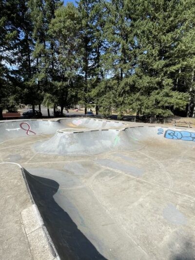 Strawberry Hill Park / Off-leash Dog Park - Bainbridge Island, WA