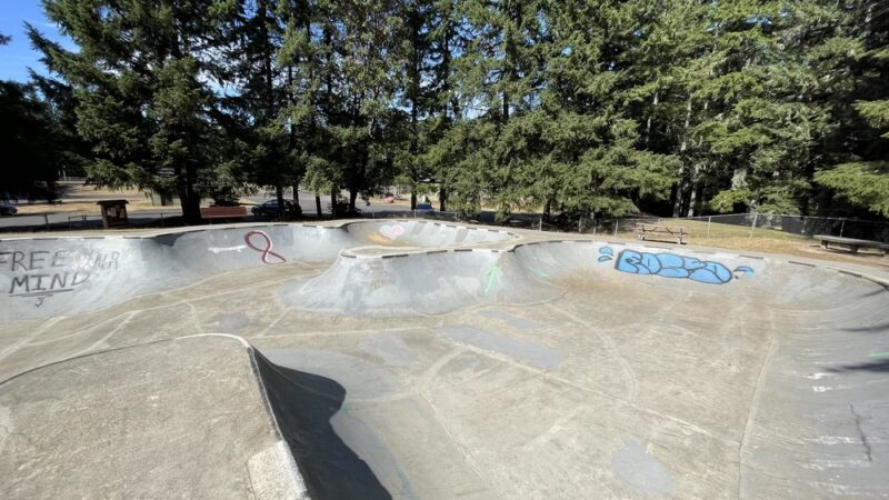 Strawberry Hill Park / Off-leash Dog Park - Bainbridge Island, WA