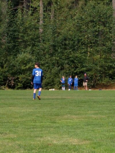 Strawberry Hill Park / Off-leash Dog Park - Bainbridge Island, WA