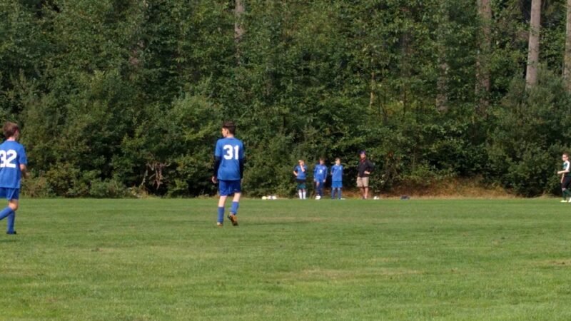Strawberry Hill Park / Off-leash Dog Park - Bainbridge Island, WA