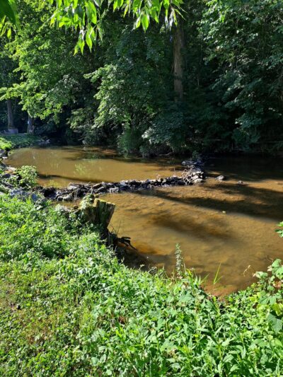 Conoy Park East - Bainbridge, PA