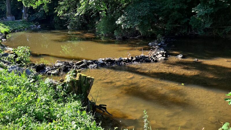 Conoy Park East - Bainbridge, PA
