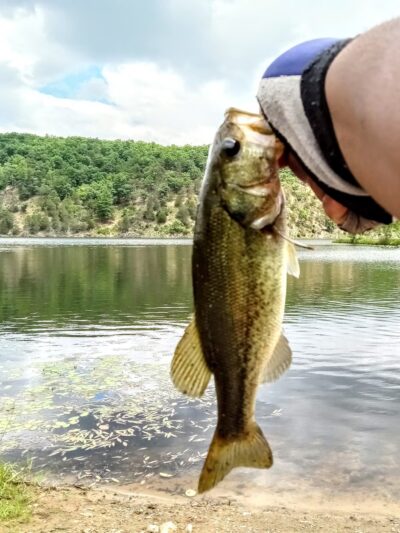 Kimsey Run Lake - Baker, WV