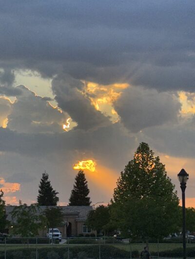 Bridle Creek Dog Park - Bakersfield, CA