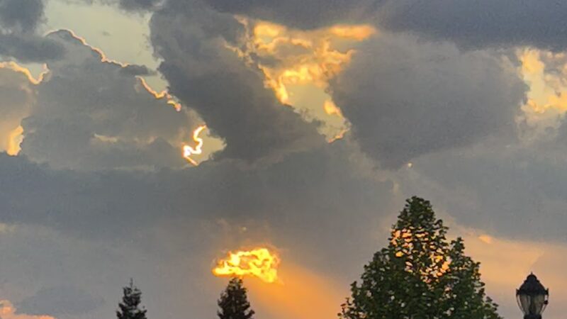 Bridle Creek Dog Park - Bakersfield, CA