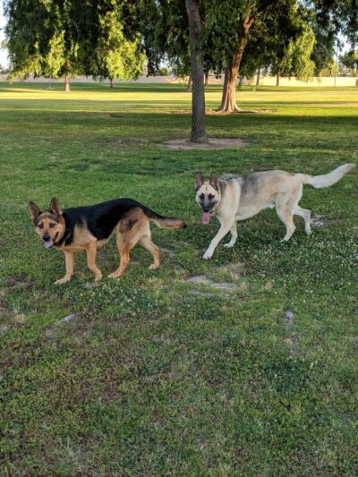 Campus Park North - Bakersfield, CA