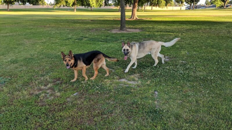 Campus Park North - Bakersfield, CA