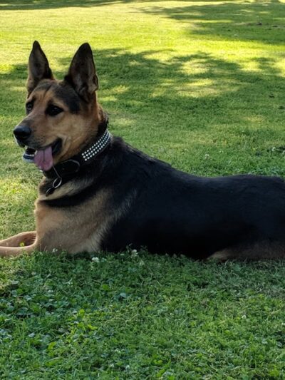 Campus Park North - Bakersfield, CA