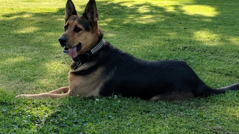 Campus Park North - Bakersfield, CA