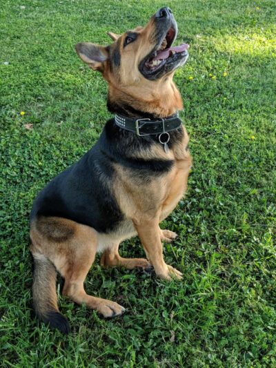 Campus Park North - Bakersfield, CA