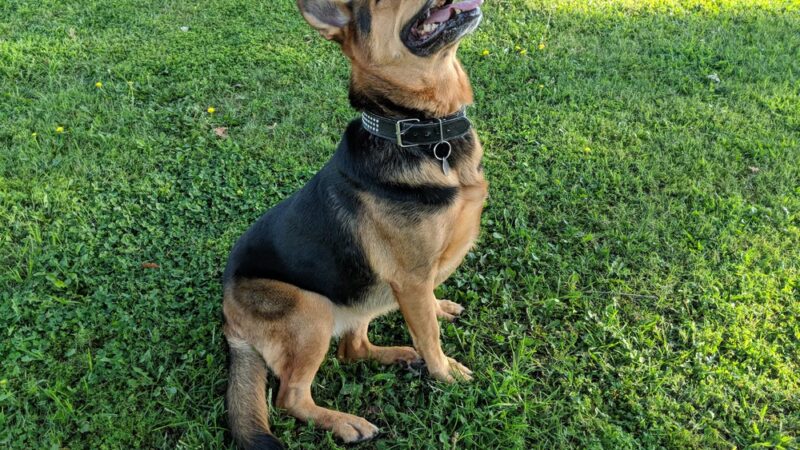 Campus Park North - Bakersfield, CA