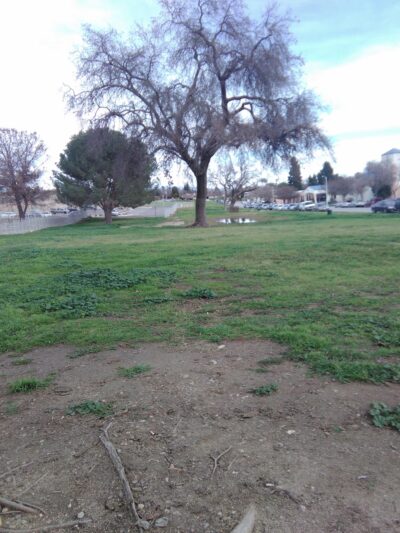 College Park - Bakersfield, CA