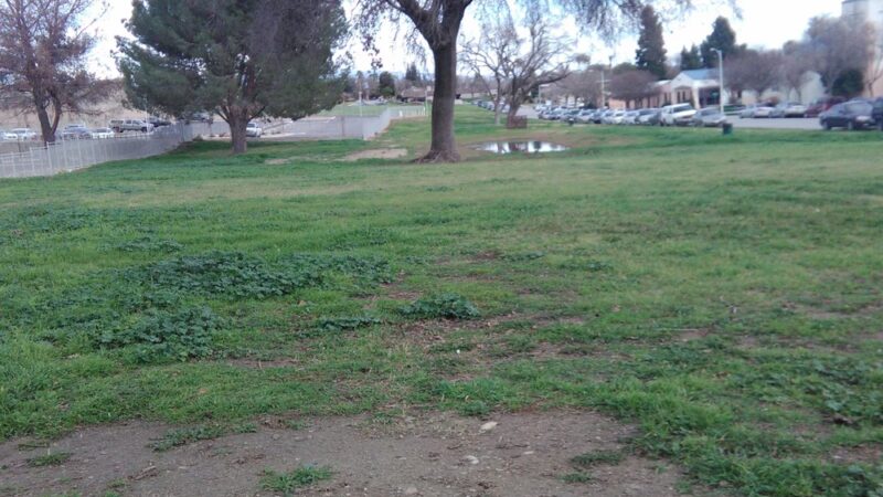 College Park - Bakersfield, CA