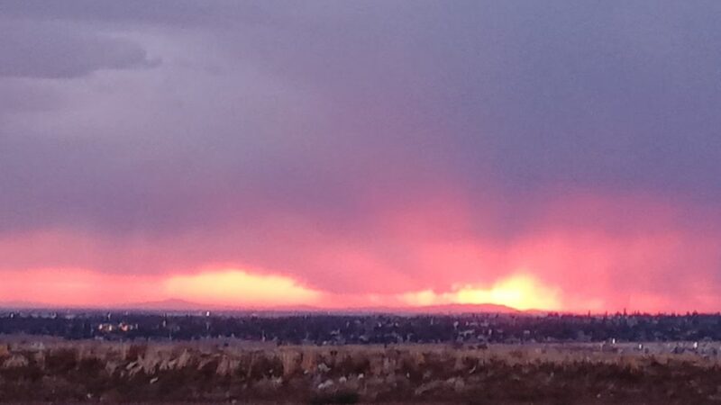 College Park - Bakersfield, CA