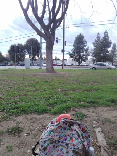 College Park - Bakersfield, CA