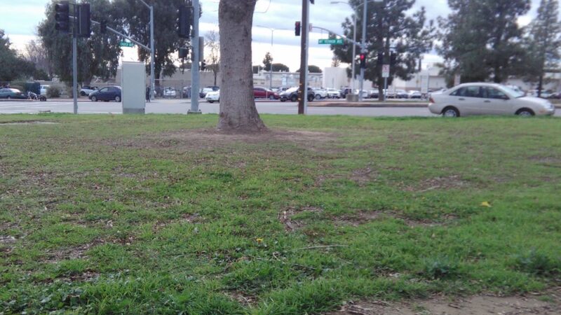 College Park - Bakersfield, CA