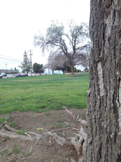 College Park - Bakersfield, CA