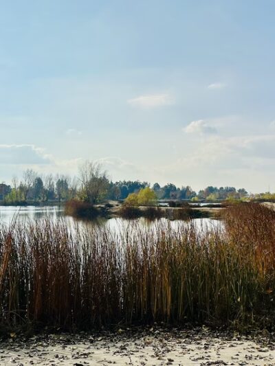 Kern River Parkway - Bakersfield, CA