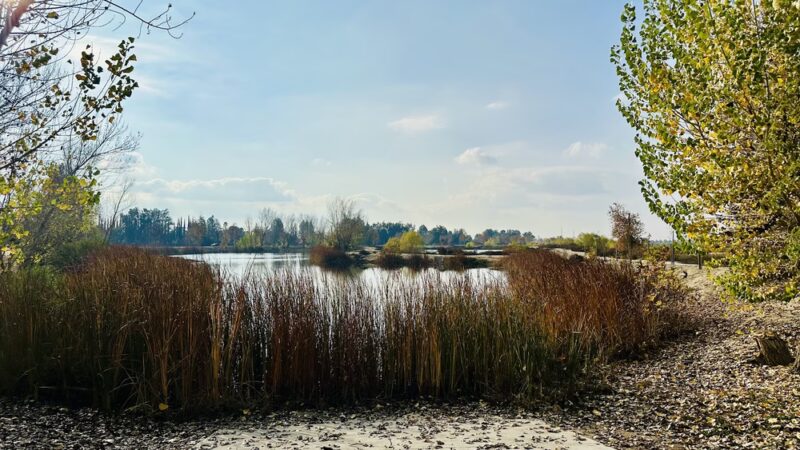 Kern River Parkway - Bakersfield, CA