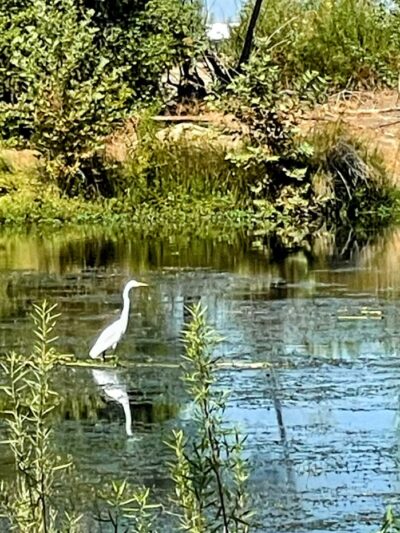 Kern River Parkway - Bakersfield, CA