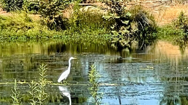 Kern River Parkway - Bakersfield, CA