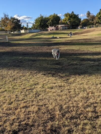 Kroll Park - Bakersfield, CA