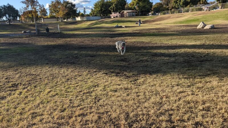 Kroll Park - Bakersfield, CA