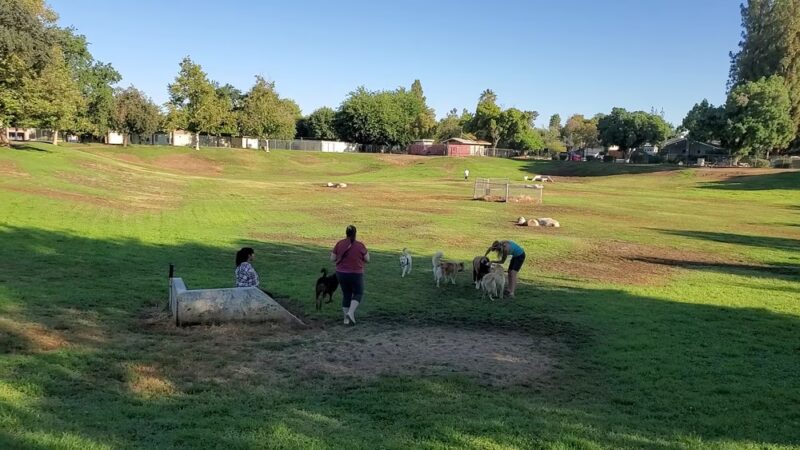 Kroll Park - Bakersfield, CA