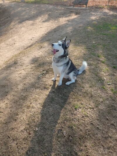 Kroll Park - Bakersfield, CA