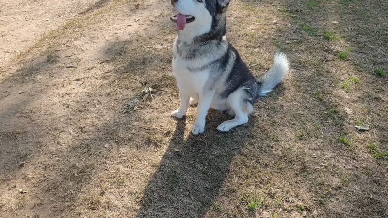 Kroll Park - Bakersfield, CA