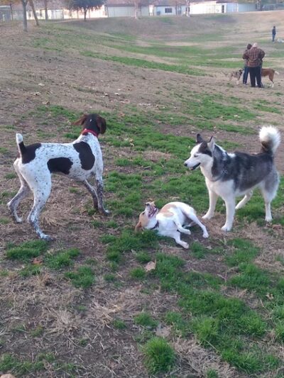Kroll Park - Bakersfield, CA