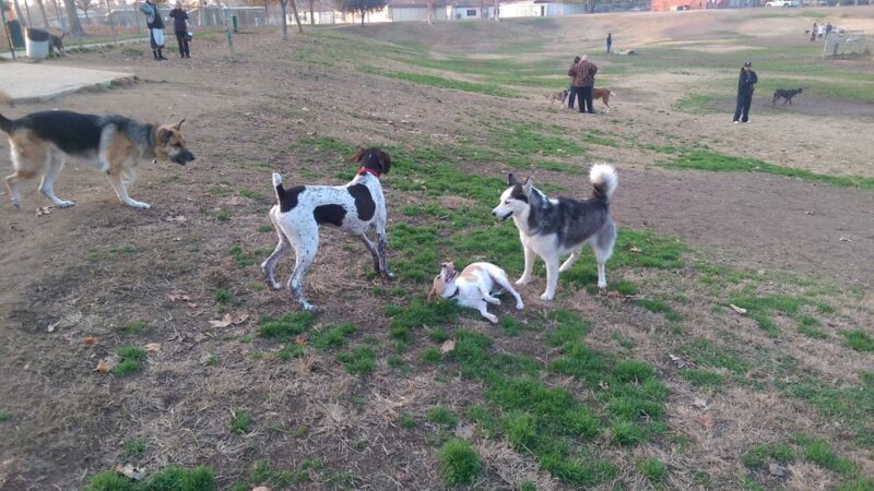 Kroll Park - Bakersfield, CA